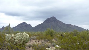 Arizona-Sonora06-sml.jpg