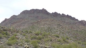Arizona-Sonora08-sml.jpg