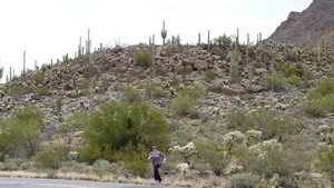 Arizona-Sonora09-sml.jpg