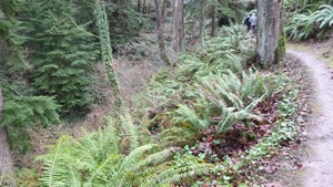 Hike02-sml.jpg