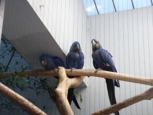 Zoo.Posers.JPG